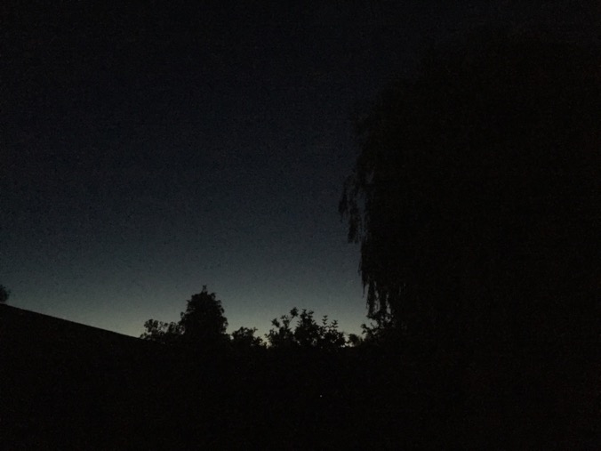 Solid state Logic SSL audio recording mixing speakers monitors barefoot yamaha neumann singer guitar rap hip hop moog 